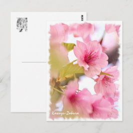 Cherry blossom: Kawazu-Zakura ポストカード Postkarte