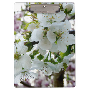 Cherry Blossom Klemmbrett