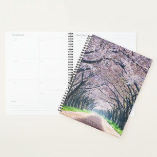 Cherry Blossom Lane Planer