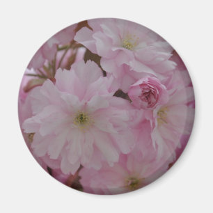 Cherry Blossom Magnet