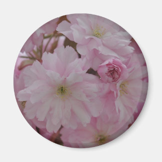 Cherry Blossom Magnet