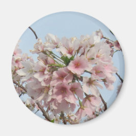 Cherry Blossom Magnet
