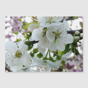 Cherry Blossom Magnetkarte