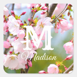Cherry Blossom Nah Quadratischer Aufkleber