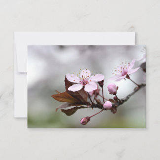 Cherry Blossom Notecard Mitteilungskarte