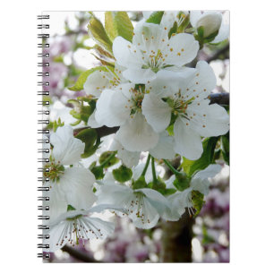 Cherry Blossom Notizblock