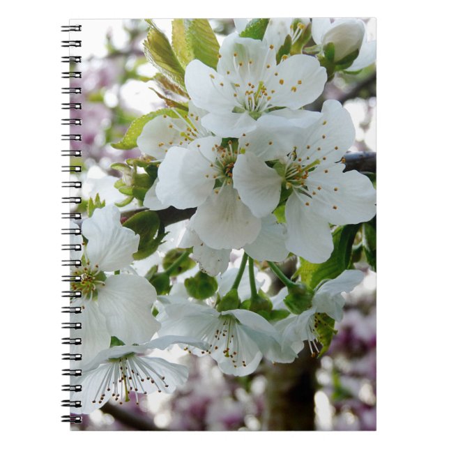 Cherry Blossom Notizblock (Vorderseite)