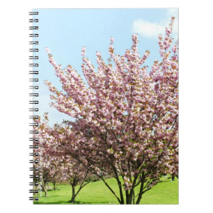 Cherry Blossom Notizblock