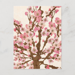 Cherry blossom Postcard Postkarte