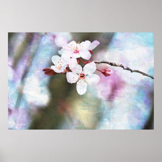 Cherry Blossom Poster (Vorne)