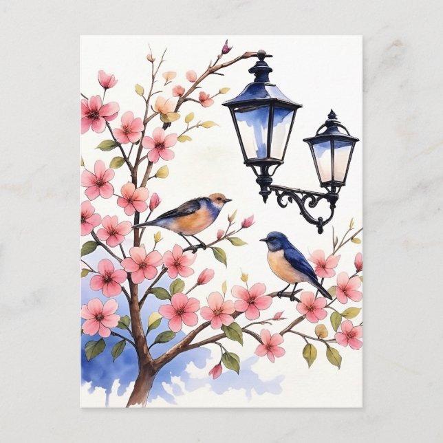 Cherry Blossom Postkarte (Vorderseite)