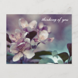 Cherry Blossom Postkarte 1