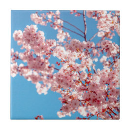 Cherry Blossom Sakura Blume Fliese