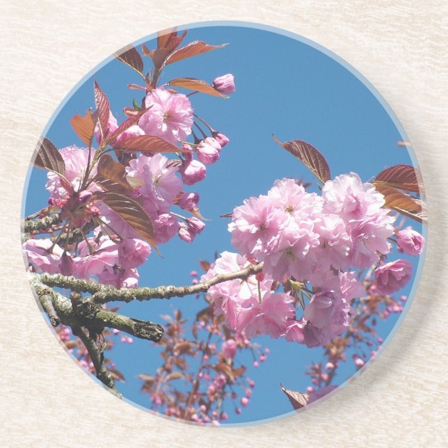 Cherry Blossom Sandstein Untersetzer (Vorne)