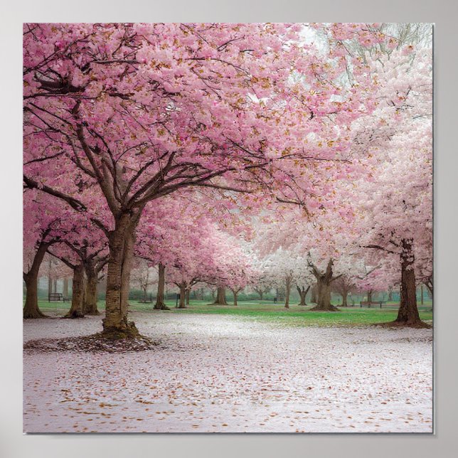 Cherry Blossom Serenity - Friedlicher Frühlingspar Poster (Vorne)
