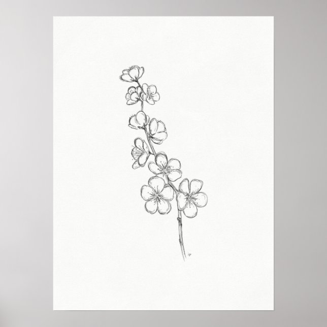 Cherry Blossom Sketch Print Poster (Vorne)