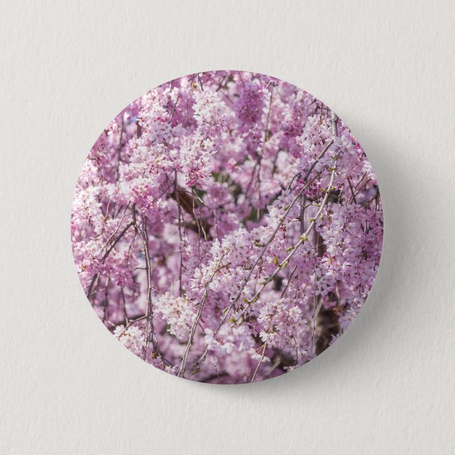 Cherry Blossom Spring Button (Vorderseite)