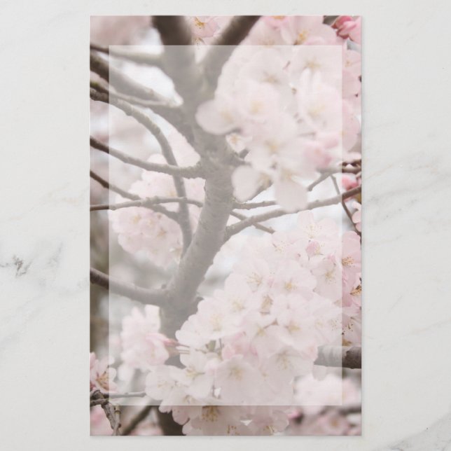 Cherry-Blossom-Stationierung Briefpapier (Vorderseite)