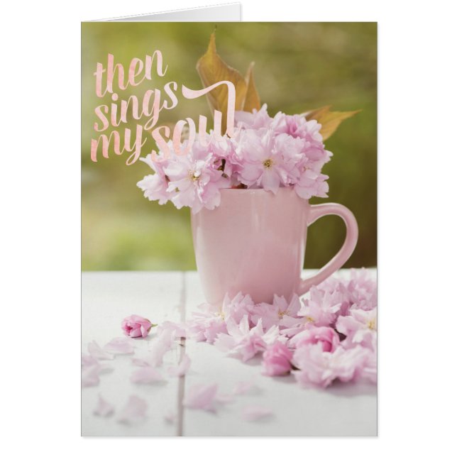 Cherry Blossom Stilllife Spring Text (Vorne)