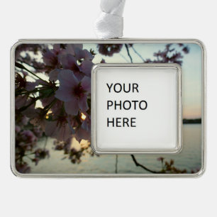 Cherry Blossom Sunset in Washington DC Rahmen-Ornament Silber
