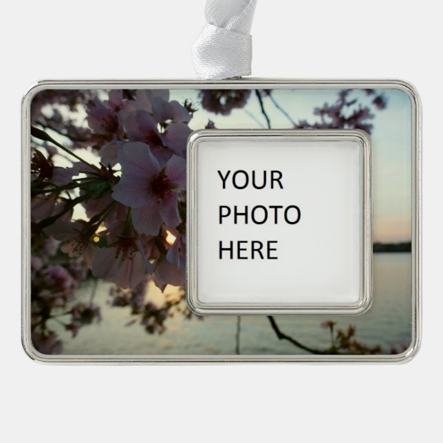 Cherry Blossom Sunset in Washington DC Rahmen-Ornament Silber (Vorderseite)