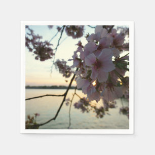 Cherry Blossom Sunset in Washington DC Serviette