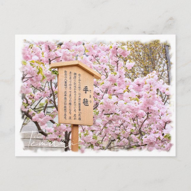 Cherry Blossom "Temari" ポストカード Postkarte (Vorderseite)