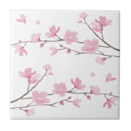 Cherry Blossom - Transparenter Hintergrund Fliese