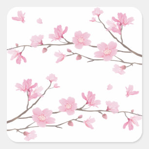 Cherry Blossom - Transparenter Hintergrund Quadratischer Aufkleber