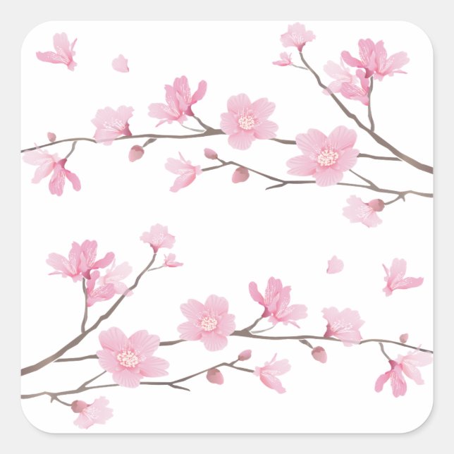 Cherry Blossom - Transparenter Hintergrund Quadratischer Aufkleber (Vorderseite)