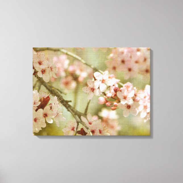 Cherry Blossom Tree Floral Leinwanddruck (Vorderseite)