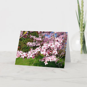 Cherry Blossom Tree in the Park Card Karte