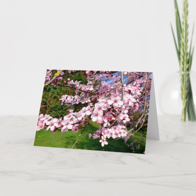 Cherry Blossom Tree in the Park Card Karte (Vorderseite)