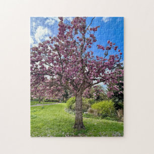 Cherry Blossom Tree Park Brighton Frühlingszeit Puzzle