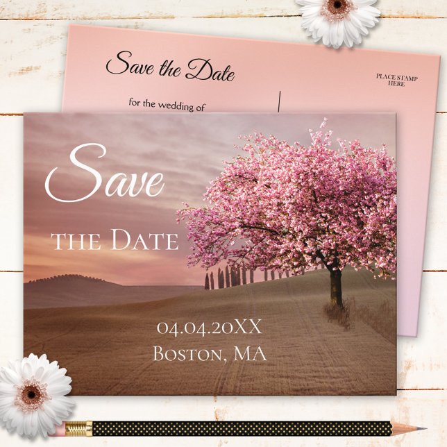 Cherry Blossom Tree Save the Date Postkarte (Von Creator hochgeladen)