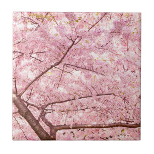 Cherry Blossom Trees Fliese