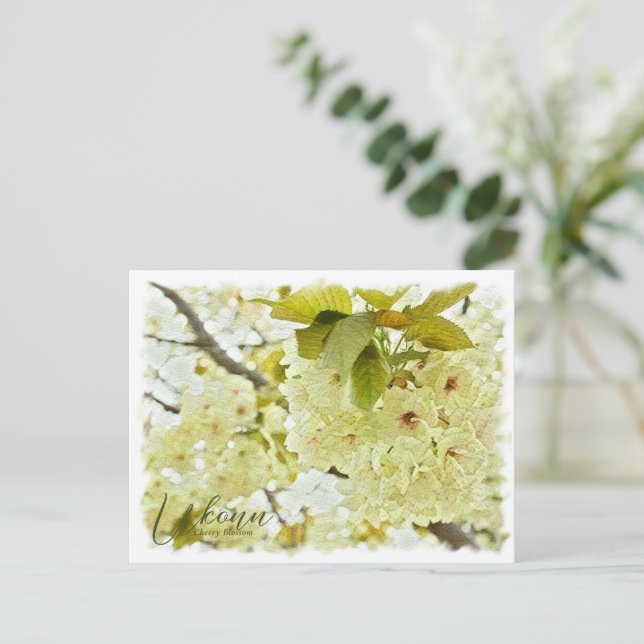 Cherry Blossom "Ukonn" ポストカード Postkarte (Stehend Vorderseite)