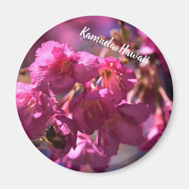 Cherry Blossom und eine Biene Magnet (Vorne)