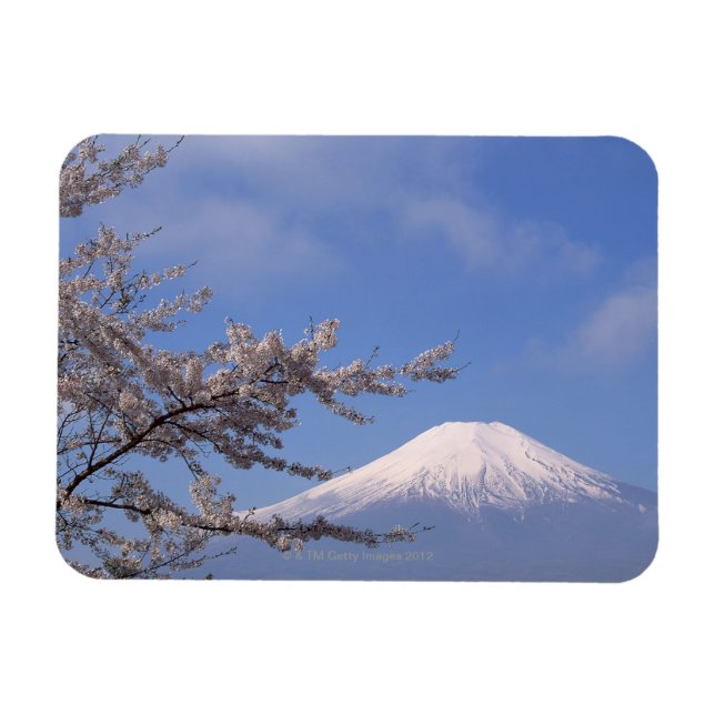 Cherry Blossom und Fuji 2 Magnet (Horizontal)