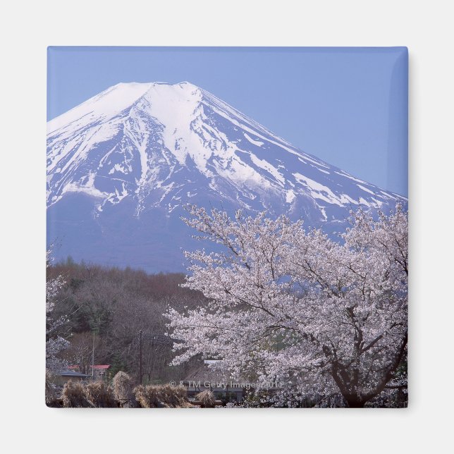 Cherry Blossom und Fuji Magnet (Vorne)