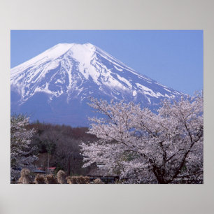 Cherry Blossom und Fuji Poster