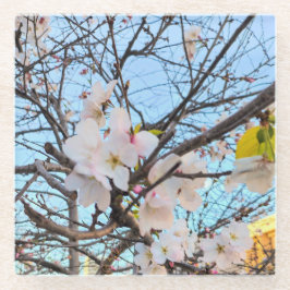 Cherry Blossom Untersetzer