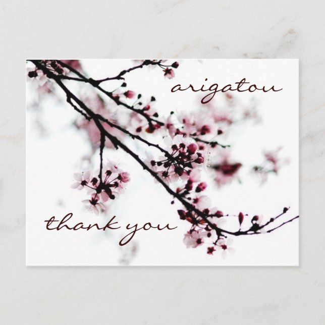 Cherry Blossom Vielen Dank Postkarte (Vorderseite)