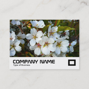 Cherry Blossom Visitenkarte