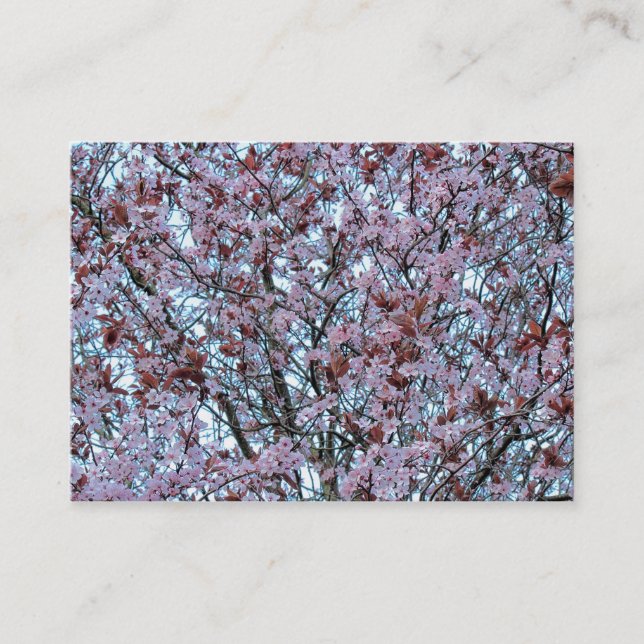 Cherry Blossom Visitenkarte (Vorderseite)