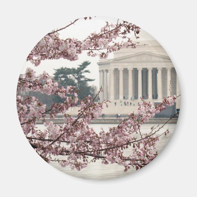Cherry Blossom Washington DC Magnet (Vorne)