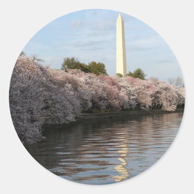 Cherry Blossom Washington Denkmal Runder Aufkleber (Vorderseite)