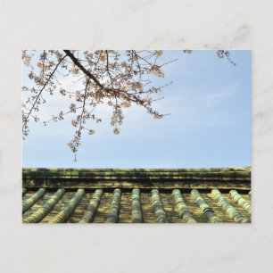 Cherry Blossom: Zojoji Temple, Tokio, Japan Postca Postkarte