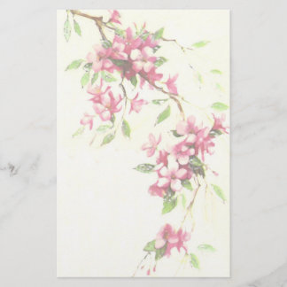 Cherry Blossoms