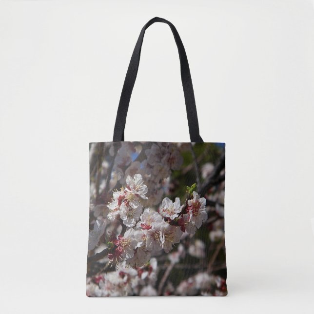 Cherry Blossoms (Vorderseite)